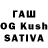 APVP мука Rushika Grover