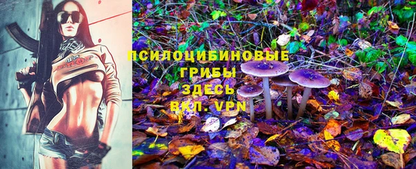 ГАЛЛЮЦИНОГЕННЫЕ ГРИБЫ Алексеевка